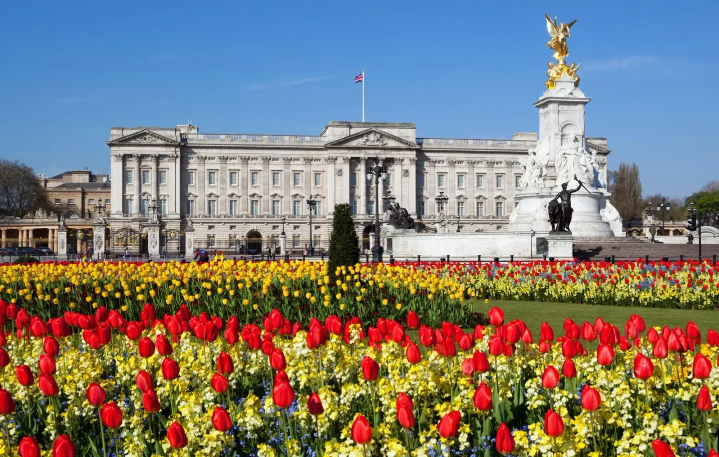 Buckingham-Palace-Victoria-Memorial-Tulips-London-England.webp